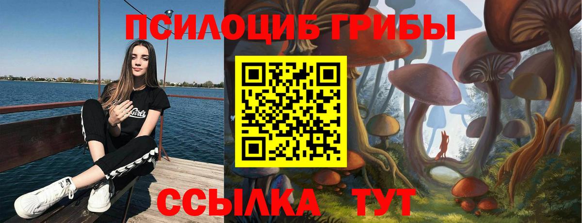 Саратов  Псилоцибиновые грибы мухоморы  Вход с VPN 